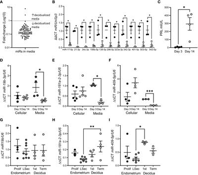Endometrial stromal cell miR-19b-3p release is reduced during decidualization implying a role in decidual-trophoblast cross-talk